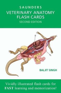 portada Veterinary Anatomy Flash Cards (en Inglés)