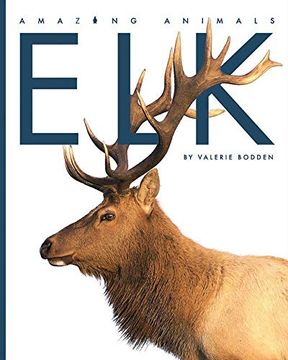 portada Elk (Amazing Animals) (in English)