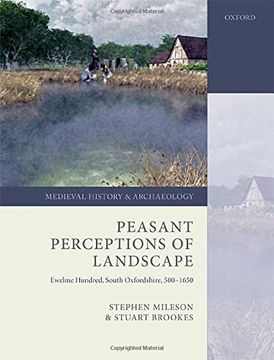 portada Peasant Perceptions of Landscape: Ewelme Hundred, South Oxfordshire, 500-1650 (Medieval History and Archaeology) (en Inglés)