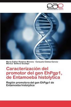 portada caracterizaci n del promotor del gen ehpgp1, de entamoeba histolytica