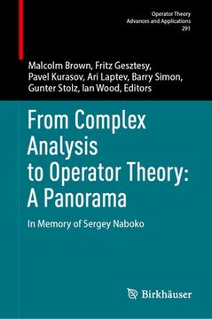 portada From Complex Analysis to Operator Theory: A Panorama: In Memory of Sergey Naboko (in English)