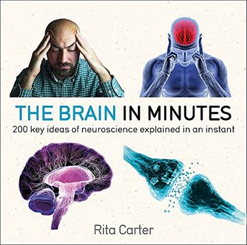 portada The Brain in Minutes: 200 Key Ideas of Neuroscience Explained in an Instant (en Inglés)