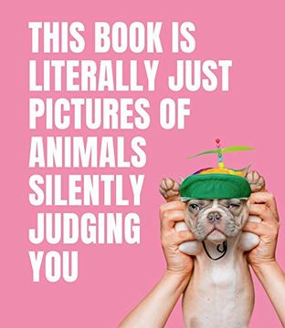 portada This Book is Literally Just Pictures of Animals Silently Judging you (in English)