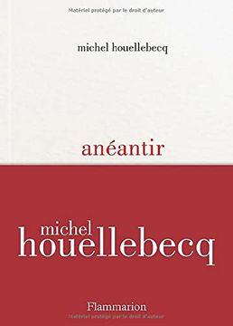 portada Anéantir (en Francés)