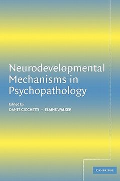portada Neurodevelopmental Mechanisms in Psychopathology (in English)