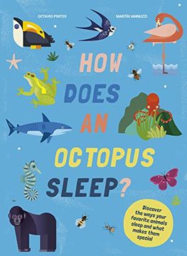 portada How Does an Octopus Sleep? Discover the Ways Your Favorite Animals Sleep 