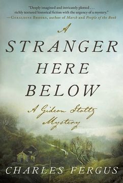 portada A Stranger Here Below: A Gideon Stoltz Mystery (Gideon Stoltz Mysteries) (en Inglés)