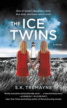 portada The ice Twins: A Novel (in English)
