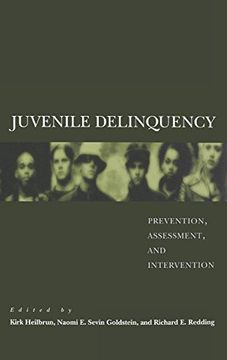 portada Juvenile Delinquency: Prevention, Assessment, and Intervention (en Inglés)