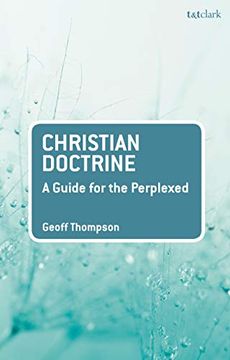 portada Christian Doctrine (Guides for the Perplexed) (in English)