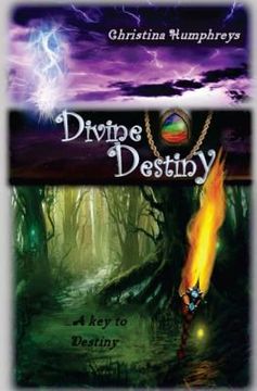 portada Divine Destiny: A key to destiny (en Inglés)