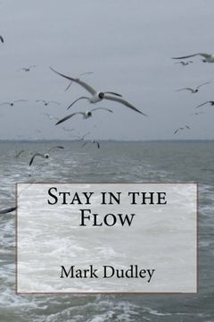 portada Stay in the Flow