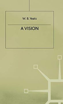 portada A Vision (in English)