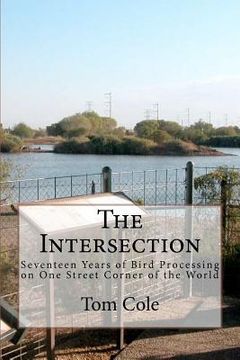 portada the intersection (in English)
