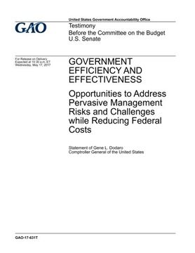 portada Government efficiency and effectiveness, opportunities to address pervasive management risks and challenges while reducing federal costs : testimony before the Committee on the Budget, U.S. Senate