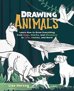 portada Drawing Animals: Learn how to Draw Everything From Dogs, Sharks, and Dinosaurs to Cats, Llamas, and More! (How to Draw Books) (en Inglés)