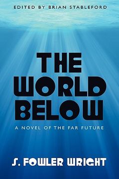 portada the world below: a novel of the far future