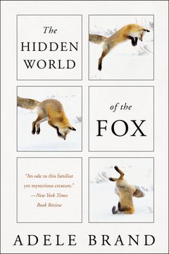 portada The Hidden World of the fox 