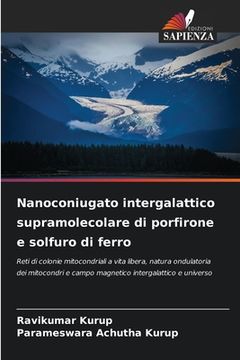 portada Nanoconiugato intergalattico supramolecolare di porfirone e solfuro di ferro (en Italiano)