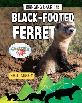 portada Bringing Back the Black-Footed Ferret (Animals Back From the Brink) (en Inglés)