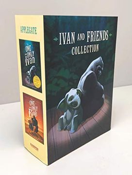 portada Ivan & Friends 2-Book Collection: The one and Only Ivan and the one and Only bob (en Inglés)