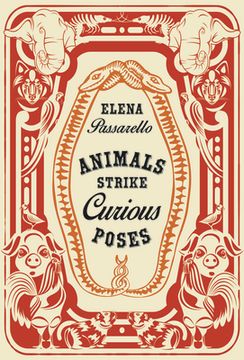 portada Animals Strike Curious Poses (en Inglés)