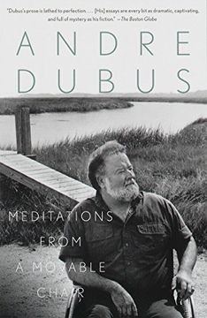 portada Meditations From a Movable Chair (Vintage Contemporaries) 