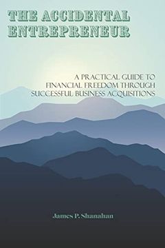 portada The Accidental Entrepreneur: A Practical Guide to Financial Freedom Through Successful Business Acquisitions (in English)