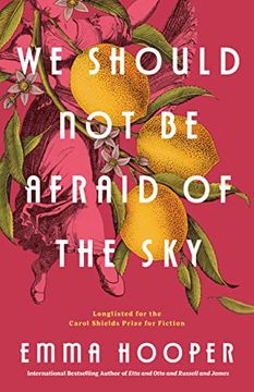 portada We Should not be Afraid of the sky (en Inglés)