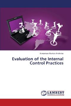 portada Evaluation of the Internal Control Practices