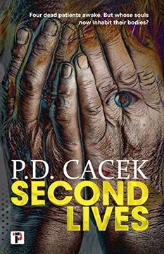 portada Second Lives (Fiction Without Frontiers) 