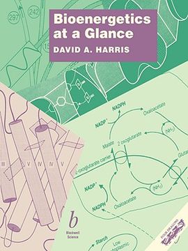 portada bioenergetics at a glance: an illustrated introduction (en Inglés)