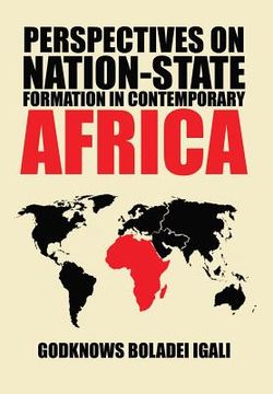 portada Perspectives on Nation-State Formation in Contemporary Africa (en Inglés)
