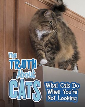 portada Truth about Cats (Read Me!: Pets Undercover!)