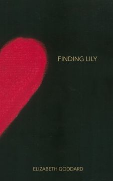 portada Finding Lily