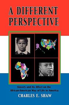 portada a different perspective: slavery and it's affect on the african-american way of life in america (en Inglés)