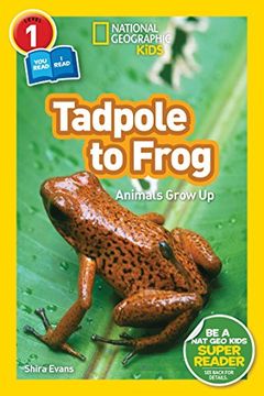 portada National Geographic Readers: Tadpole to Frog (l1 (en Inglés)