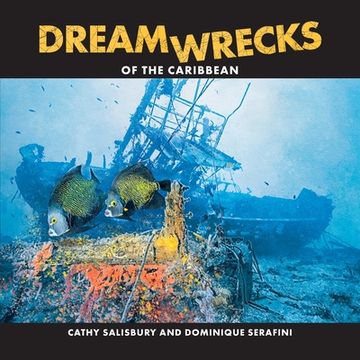 portada Dreamwrecks of the Caribbean: Diving the Best Shipwrecks of the Region (in English)