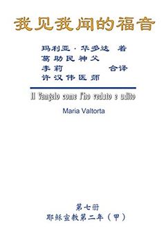 portada The Gospel as Revealed to me (Vol 7) - Simplified Chinese Edition: 我见我闻的福音(第七册: 耶稣宣教第二年(甲))简体中文版
