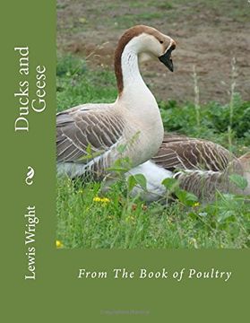 portada Ducks and Geese: From The Book of Poultry