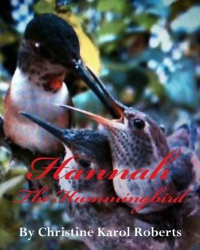 portada hannah the hummingbird