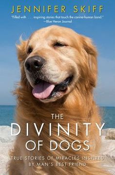 portada the divinity of dogs: true stories of miracles inspired by man's best friend (en Inglés)