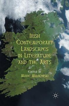 portada Irish Contemporary Landscapes in Literature and the Arts (in English)