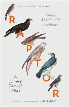portada Raptor: A Journey Through Birds