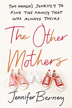 portada The Other Mothers: Two Women'S Journey to Find the Family That was Always Theirs 