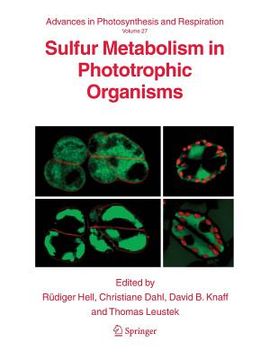 portada Sulfur Metabolism in Phototrophic Organisms (en Inglés)