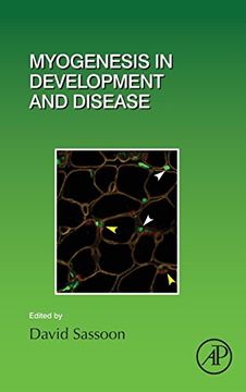 portada Myogenesis in Development and Disease, Volume 126 (Current Topics in Developmental Biology) (en Inglés)