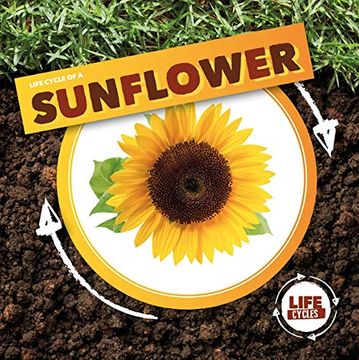 portada Life Cycle of a Sunflower (Life Cycles) (en Inglés)