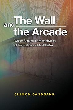 portada The Wall and the Arcade (in English)