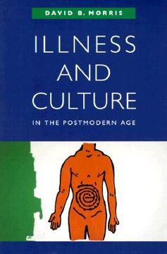 portada illness and culture in the postmodern age